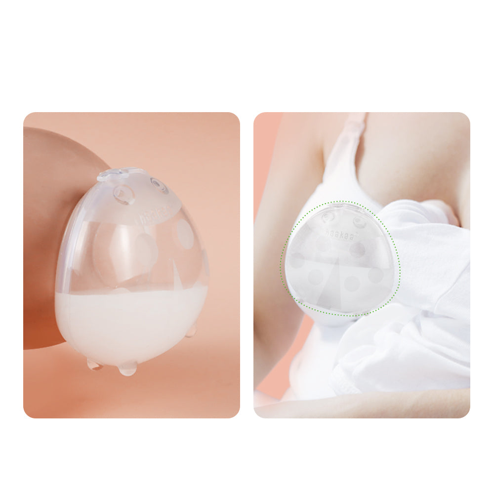 Recolector de leche LadyBug (75ml)
